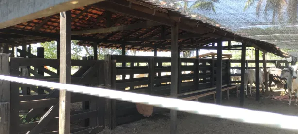 Fazenda / Sítio / Chácara à venda, 300m² no Centro, Itapecuru Mirim