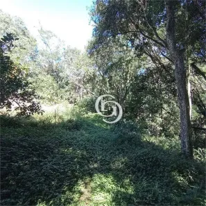 Fazenda / Sítio / Chácara com 2 Quartos à venda, 3000m² no São Salvador, Cascavel