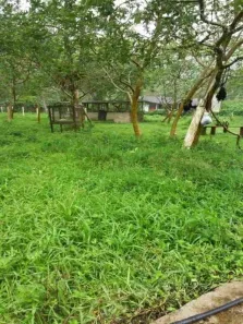 Fazenda / Sítio / Chácara com 2 Quartos à venda, 6000m² no , Mongaguá