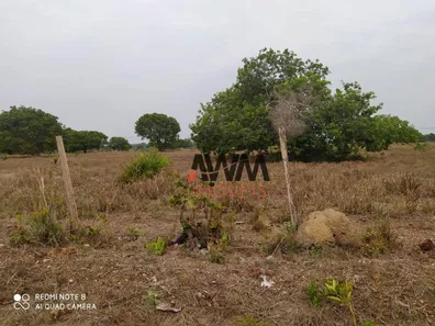 Fazenda / Sítio / Chácara à venda, 6872800m² no Centro, Cristalândia