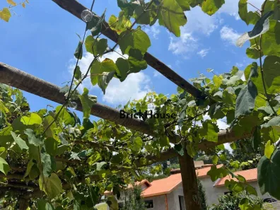Casa de Condomínio com 4 Quartos à venda, 384m² no Estação, São Roque