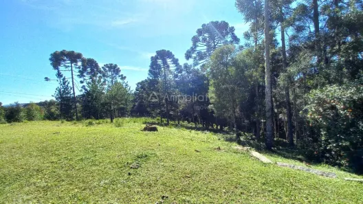 Fazenda / Sítio / Chácara com 3 Quartos à venda, 90m² no Área Rural, Campina Grande do Sul