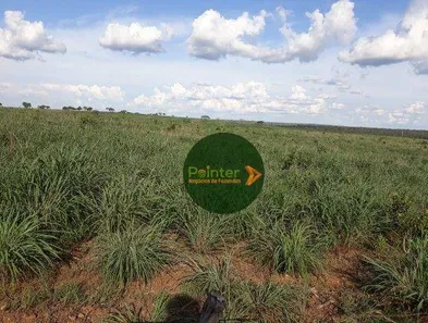 Fazenda / Sítio / Chácara à venda, 12387375m² no Área Rural de Gurupi, Gurupi