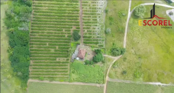 Fazenda / Sítio / Chácara com 2 Quartos à venda, 42000m² no , Alhandra