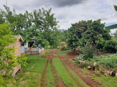 Fazenda / Sítio / Chácara com 3 Quartos à venda, 30000m² no Rural, Assaí