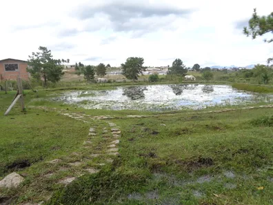Fazenda / Sítio / Chácara com 3 Quartos à venda, 450m² no Itapira, Quatro Barras