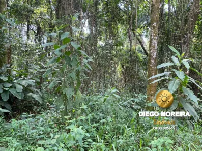 Terreno / Lote / Condomínio à venda, 1025m² no Mato Dentro, Mairiporã