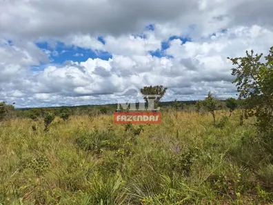 Fazenda / Sítio / Chácara à venda, 500m² no Setor Central, Ponte Alta do Tocantins