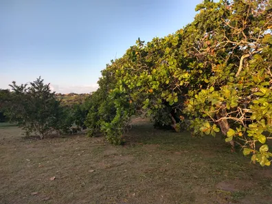 Fazenda / Sítio / Chácara à venda, 23500m² no Alpes Suiços, Gravatá