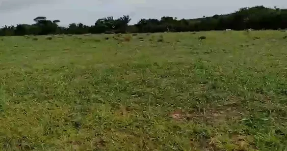 Fazenda / Sítio / Chácara à venda, 733m² no , Guaraí