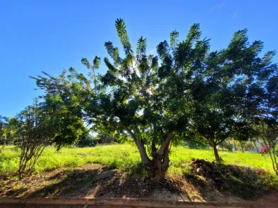 Fazenda / Sítio / Chácara à venda, 1500m² no , Nerópolis