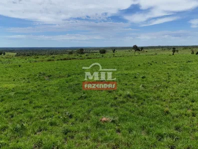 Fazenda / Sítio / Chácara à venda, 500m² no , Paranã