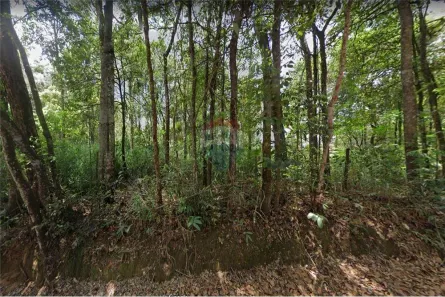 Terreno / Lote / Condomínio à venda, 1600m² no Ecoville, Nova Lima