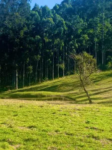 Terreno / Lote / Condomínio à venda, 1000m² no , Alumínio