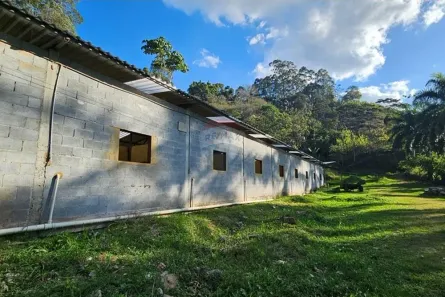 Fazenda / Sítio / Chácara com 4 Quartos para alugar, 53800m² no Rui Sanglard, Nova Friburgo