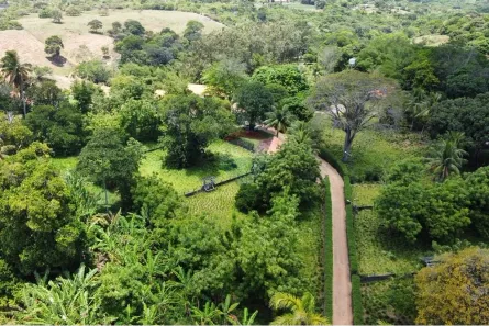 Fazenda / Sítio / Chácara à venda, 114000m² no Jardim Recreio, Conde