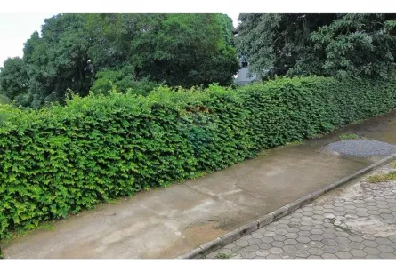 Terreno / Lote / Condomínio à venda, 247m² no CENTRO, Itamaraju