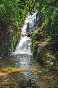 Fazenda / Sítio / Chácara com 3 Quartos à venda, 80000m² no Visconde de Mauá, Resende