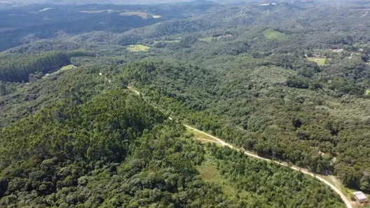 Terreno / Lote / Condomínio à venda, 20000m² no Itaqui de Cima, Campo Largo