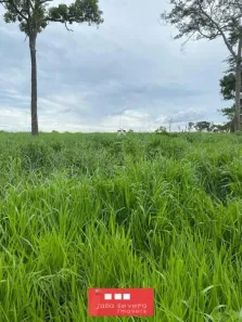 Fazenda / Sítio / Chácara à venda, 1064800m² no Plano Diretor Sul, Palmas