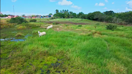 Fazenda / Sítio / Chácara à venda, 18000m² no Virgem Santa, Macaé
