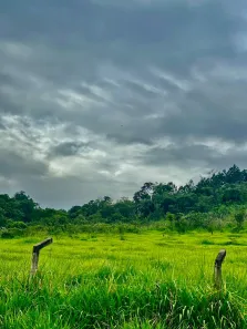 Fazenda / Sítio / Chácara à venda, 1000m² no Saboó, São Roque