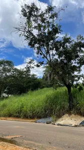 Terreno / Lote / Condomínio à venda, 1000m² no Jardim das Palmeiras, Capim Branco