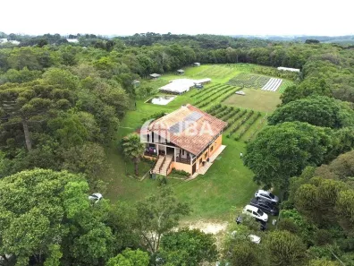 Fazenda / Sítio / Chácara com 4 Quartos à venda, 450m² no Santa Gema, Colombo