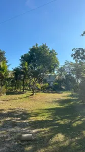 Fazenda / Sítio / Chácara com 4 Quartos à venda, 30000m² no Campo Alegre, Nova Iguaçu