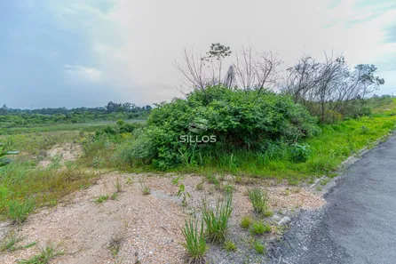 Terreno / Lote / Condomínio à venda, 5038m² no Loteamento Bosque Merhy, Quatro Barras