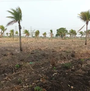 Fazenda / Sítio / Chácara à venda, 65000m² no Santa Cruz, Rio de Janeiro