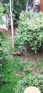 Casa de Condomínio com 4 Quartos à venda, 216m² no Jardim D'Abril, Osasco