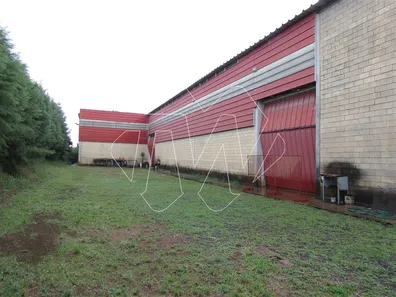 Galpão / Depósito / Armazém à venda, 4320m² no Jardim Regina, Araraquara