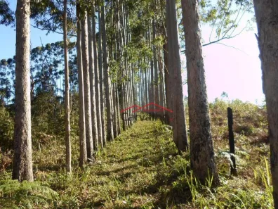 Fazenda / Sítio / Chácara com 5 Quartos à venda, 200m² no , Igaratá