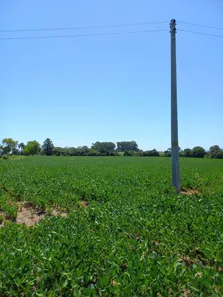 Fazenda / Sítio / Chácara à venda, 21000m² no Camobi, Santa Maria