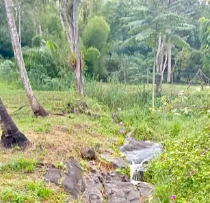Fazenda / Sítio / Chácara com 4 Quartos à venda, 360000m² no Monumento, Piraí