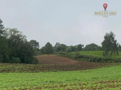 Fazenda / Sítio / Chácara à venda, 54000m² no , Tijucas do Sul
