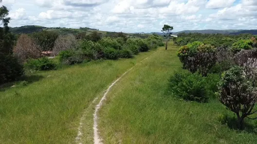 Fazenda / Sítio / Chácara à venda, 140000m² no , Chã Grande