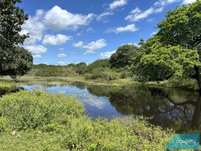 Terreno / Lote / Condomínio à venda, 270000m² no , São Gonçalo do Amarante