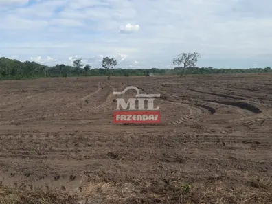 Fazenda / Sítio / Chácara à venda, 658000000m² no Setor Central, Ponte Alta do Tocantins