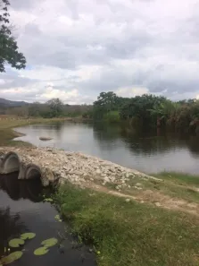 Fazenda / Sítio / Chácara com 4 Quartos à venda, 210m² no , Agrestina