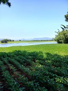 Fazenda / Sítio / Chácara à venda, 21000m² no Camobi, Santa Maria