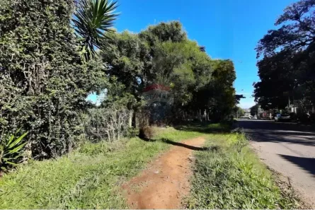 Fazenda / Sítio / Chácara à venda, 1923m² no Jardim Amélia, Pinhais