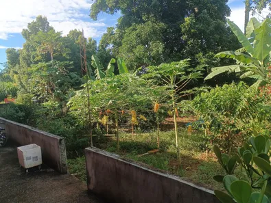 Fazenda / Sítio / Chácara à venda, 170500m² no Jardim Lago Azul, Novo Gama