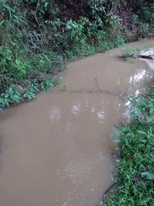 Terreno / Lote / Condomínio à venda, 20000m² no , Fortuna de Minas