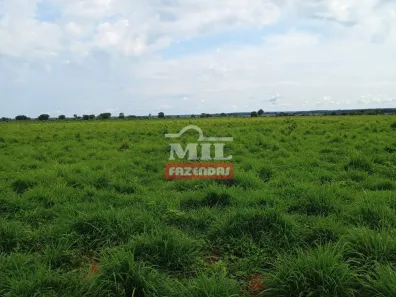 Fazenda / Sítio / Chácara à venda, 500m² no , Formoso do Araguaia