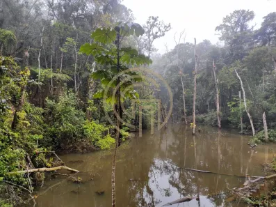 Fazenda / Sítio / Chácara com 3 Quartos à venda, 10000m² no Centro, Embu-Guaçu
