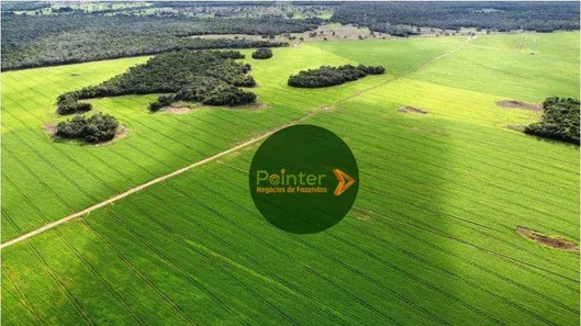 Fazenda / Sítio / Chácara à venda, 7000000m² no Setor Central, Gurupi