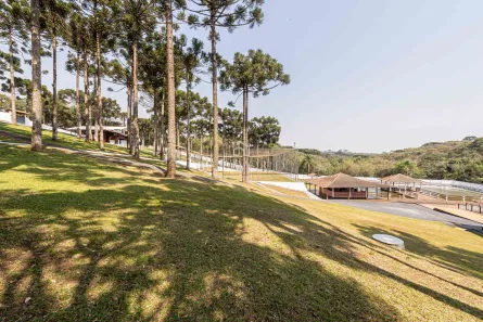 Fazenda / Sítio / Chácara à venda, 11734m² no Santa Gema, Colombo