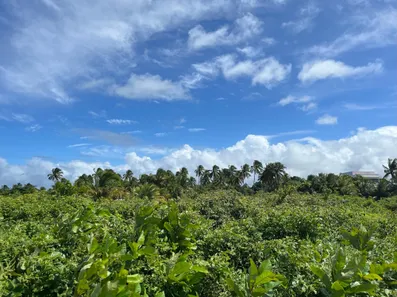 Terreno / Lote / Condomínio à venda, 46000m² no , Barra de Santo Antônio